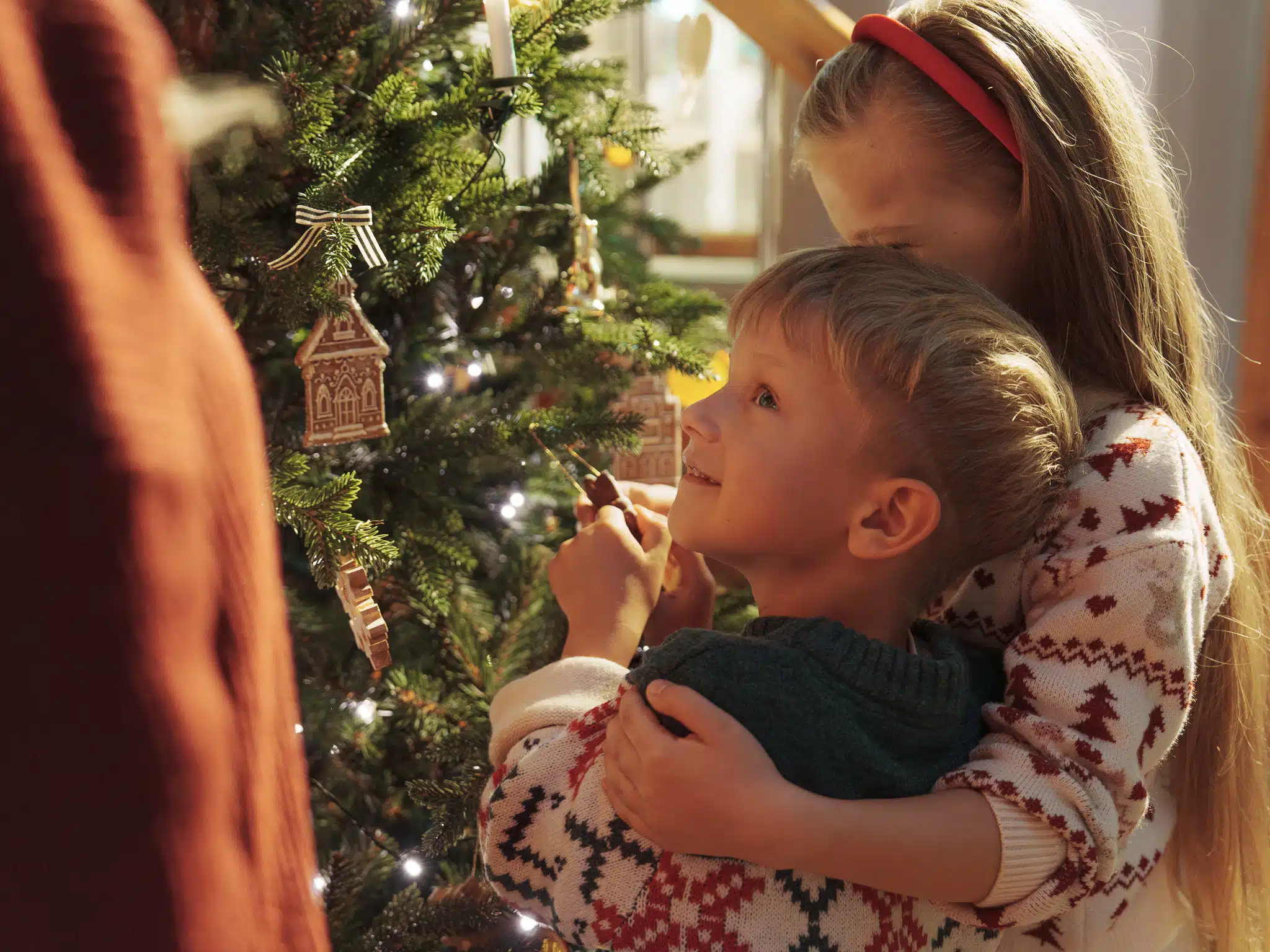 Plan zdjęciowy kampanii foto i wideo dla e-commerce – FairyTrees